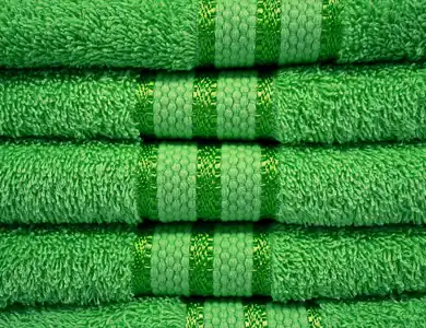 Laundry Green Shutterstock 2075480554